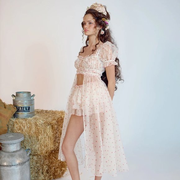 Selkie La Fraise Strawberry Print Silk Gauze Boudoir Dress - XS / NWOT - Picture 2 of 9